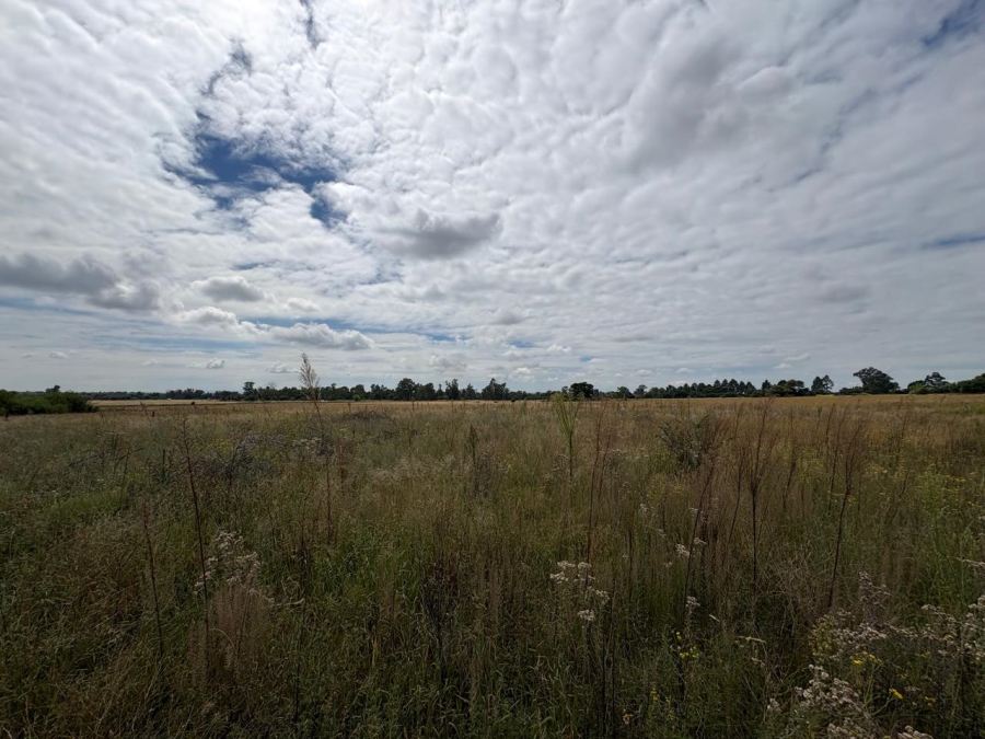 0 Bedroom Property for Sale in Vaalpark Free State